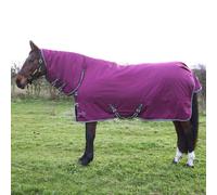 StormX Empra 200 Combi Turnout Rug Purple for Horses - 5'9
