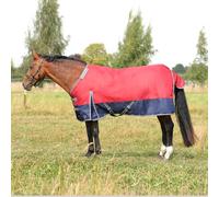 StormX Empra 200 Turnout Rug with Detachable Neck for Horses Burgundy - Size 5'0