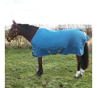 StormX Empra 50 Turnout Rug Teal for Horses - 5'0