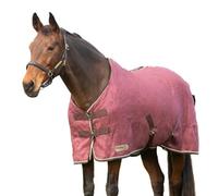 Stormx Empra Standard-Neck Horse Show Rug Burgundy/cream (7)