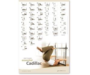 STOTT PILATES Wall Chart - Essential Cadillac, 27.00" x 39.00"