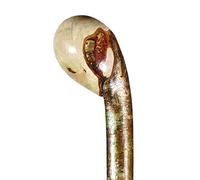 Stout Hazel Knobstick Made in The Traditional Manner from Coppiced Hazel