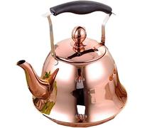Stovetop Tea Kettle - Whistling Design with Anti-Scald Handle for Safe Pouring, Compatible with Induction and Gas Stoves, Durable Stainless Steel