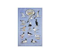 Stow Green Coastal Birds of Britain Tea Towel
