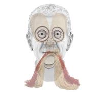 Strachan, Tavares - Tavares Strachan: In Plain Sight