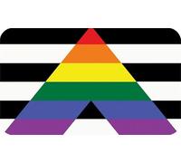 Straight Ally Pride Rainbow LGBTQ Rectangle Fridge Magnet Fantastic Souvenir