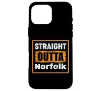 Straight Outta Norfolk Virginia USA Retro Distressed Vintage Case for iPhone 16 Pro Max