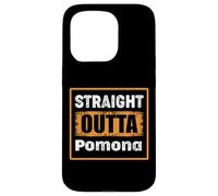 Straight Outta Pomona California USA Retro Distressed Humor Case for iPhone 15 Pro