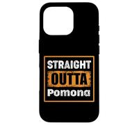 Straight Outta Pomona California USA Retro Distressed Humor Case for iPhone 16 Pro