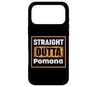 Straight Outta Pomona California USA Retro Distressed Humor Case for iPhone 17 Pro Max
