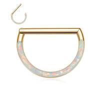 Straight Rod Septum Nose Ring Gold Septum Jewellery 16G Septum Ring Opal Daith Earrings Surgical Steel Semicircle Rook Conch Helix Hoop Earring Higned Segment Tragus Cartilage Piercing Jewellery 10mm