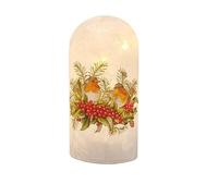 Straits Christmas Festive LED Light Up Robin Frosted Cylinder Dome Lantern Lamp 17cm Tall