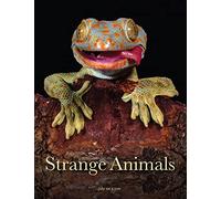 Strange Animals (Animals in Photographs)