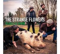 Strange Flowers - Pearls at Swine