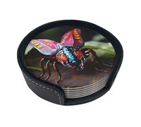 Strange Insects Coasters.Elegant, soft, easy to clean, and non-slip, suitable for home, office, and kitchen | 6-pack with storage box