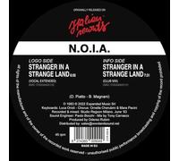 Stranger In A Strange Land [VINYL]