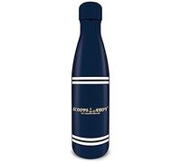 Stranger Things Insulated Metal Water Bottle with Ahoy Graphic 540ml - Official Merchandise