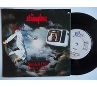STRANGLERS - SHAKIN LIKE A LEAF 7 INCH (7" 45) UK EPIC 1987 (Katalog-Nummer: SHEIK1)