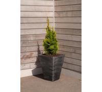 Strata Amalfi Planter Square Tapered Large W:40m x H:52cm Pewter