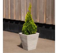 Strata Amalfi Planter Square Tapered Small W:36cm x H:39cm Stone