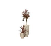 Strata Amesbury Stone Effect Planter