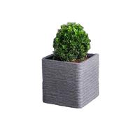 Strata Banbury Square Planter