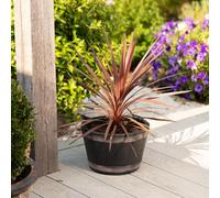 Shop4allsorts Small Round Barrel Planter - Oakwood Effect Plastic Half Barrel Plant Pot - Garden Patio Planter - 37cm x 25cm