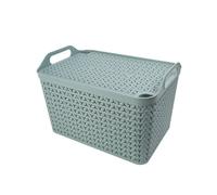 Strata Large Urban Store Basket with Lid 24 Litre Green XW124-LPG-VW