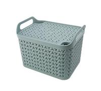 Strata Medium Urban Store Basket with Lid 14L Green XW123-LPG-VW