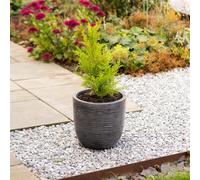 Strata Small Round 35cm (D) x 34cm (H)-Pewter