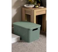 Strata Large Urban Store Basket with Lid 24 Litre Green XW124-LPG-VW