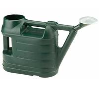 Strata Ward Indoor Outdoor Plastic Plant Watering Can with Rose - 6.5L - Green