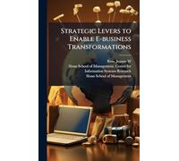 Strategic Levers to Enable E-business Transformations