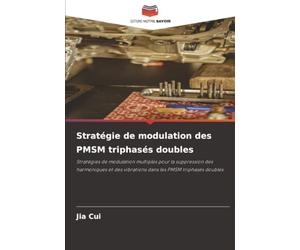 Stratégie de modulation des PMSM triphasés doubles: Stratégies de modulation multiples pour la suppression des harmoniques et des vibrations dans les PMSM triphasés doubles