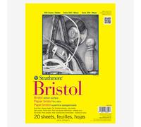 Strathmore : 300 Series : Bristol Paper : Pad : 9x12in : 20 Sheets : Vellum