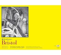 Strathmore 300 Series Bristol Vellum Pad for Artists and Students, 22 x 30 inches, 10 Sheets for Drawing, Sketching, and Printing