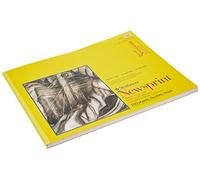 Strathmore 300 Series Newsprint, Paper, coarse, 18 x 24