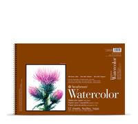 Strathmore : 400 Series : Watercolour Paper : 300gsm : 12x18in : 12 Sheets : Not