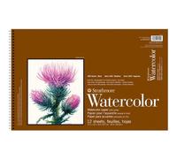 Strathmore Watercolor Paper Pad x 18-inch, 140lb Cold Press 12 Sheets, White, 12" x 18"