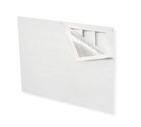 Stravinsky: Petrushka