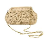Straw Bag Trendy Woven Dumpling Clutch