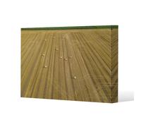 straw bales of wheat lying on harvested field (Canvas Print) / 127 x 101 x 4cm Benjamin Tate Design Natural One Size