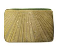 straw bales of wheat lying on harvested field Designer Bathmat Benjamin Tate Design Green One Size