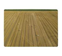 Straw Bales Of Wheat Lying On Harvested Field Designer Rug Benjamin Tate Design Natural Large