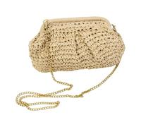 Straw Beach Bag Trendy Woven Dumpling Clutch