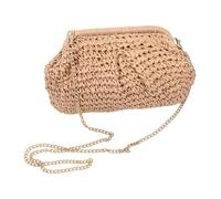 Straw Purse Trendy Woven Dumpling Clutch