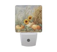 Straw Sunflower Pumpkin Fall Night Light Dusk to Dawn Sensor LED Night Dimmable Nightlight Lights Plug into Wall for Bedroom