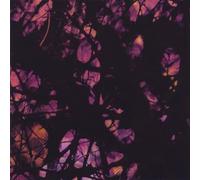 Strawberries - Behind the Looking Glass