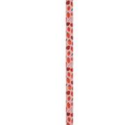Strawberries & Cherries 4M Roll Wrap