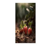 Strawberries in The Soil Curtains，Polyester Blackout Extra Wide，Door Curtain， 35.4x 70.9 Inch for Temporary Room Dividers Bedroom Living Room，Room Darkening Curtains ，for Doorway Privacy for Wall Ha